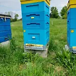 Vakantiehuis Hexagon Honey House+ Prywatna Plaza+jezioro+ Stawy+ Gospodarstwo+ Pasieka