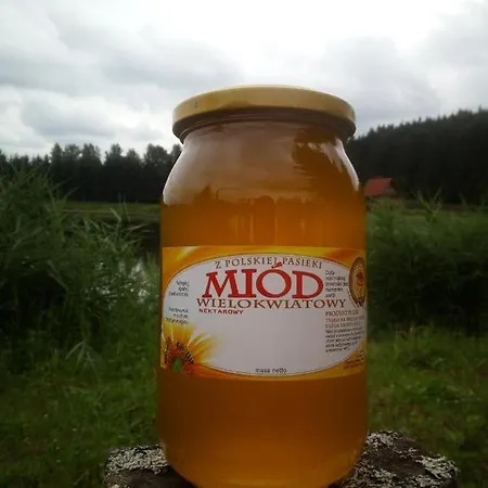 Holiday home Hexagon Honey House+ Prywatna Plaza+jezioro+ Stawy+ Gospodarstwo+ Pasieka