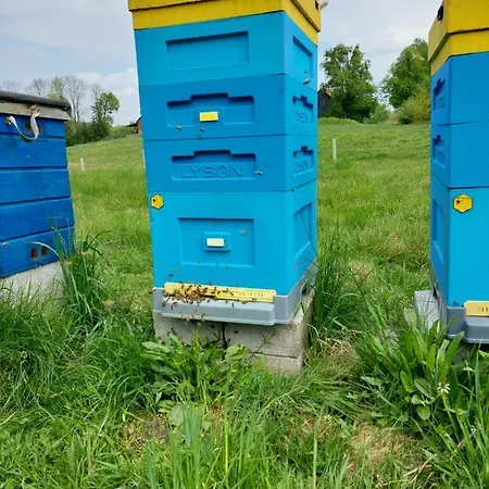 Holiday home Hexagon Honey House+ Prywatna Plaza+jezioro+ Stawy+ Gospodarstwo+ Pasieka