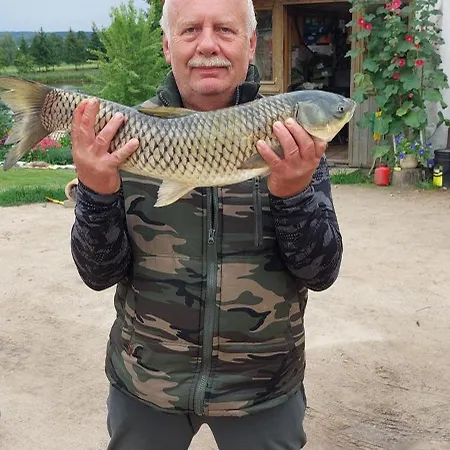 Hexagon Honey House+ Prywatna Plaza+jezioro+ Stawy+ Gospodarstwo+ Pasieka Srokowo