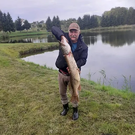 Hexagon Honey House+ Prywatna Plaza+jezioro+ Stawy+ Gospodarstwo+ Pasieka *