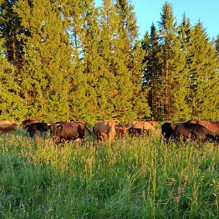 Hexagon Honey House+ Prywatna Plaza+jezioro+ Stawy+ Gospodarstwo+ Pasieka Дом отдыха