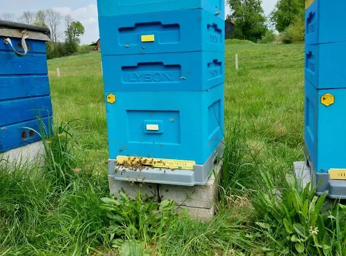 Сasa de vacaciones Hexagon Honey House+ Prywatna Plaza+jezioro+ Stawy+ Gospodarstwo+ Pasieka